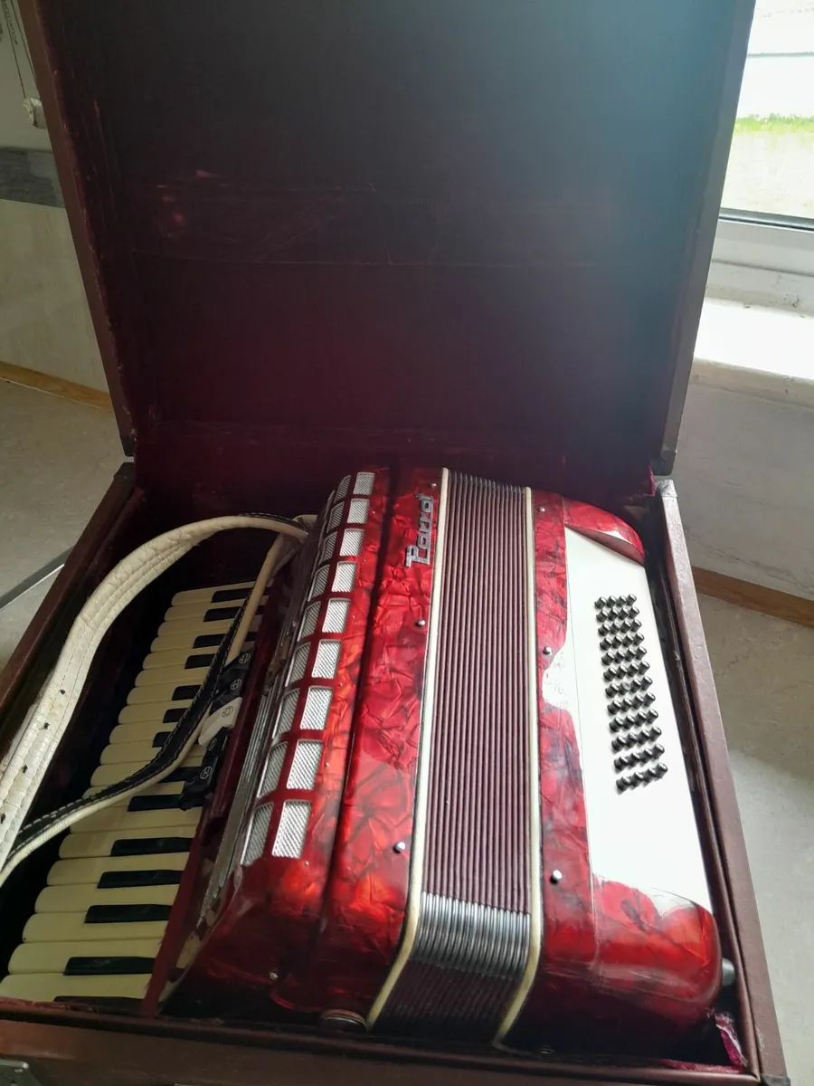 Parrot piano accordian - Image 2