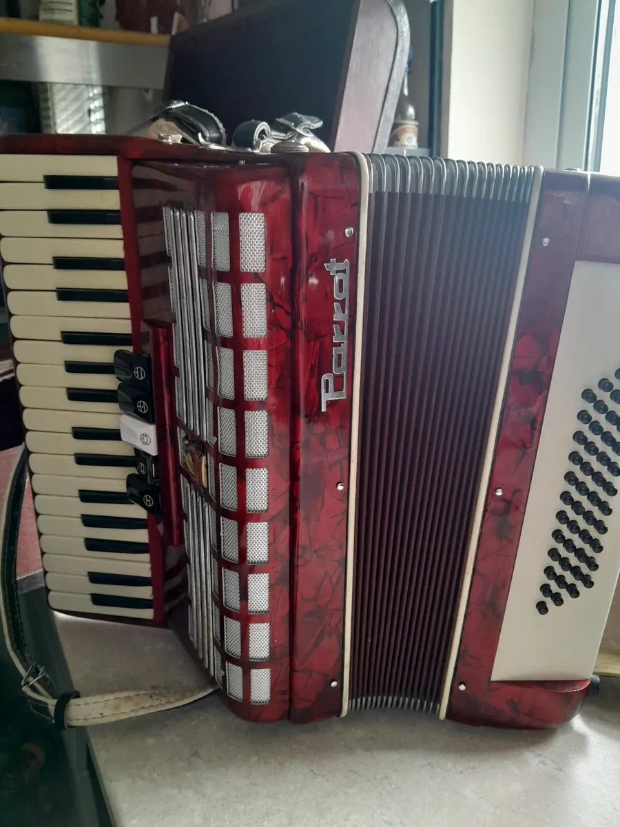 Parrot piano accordian - Image 3