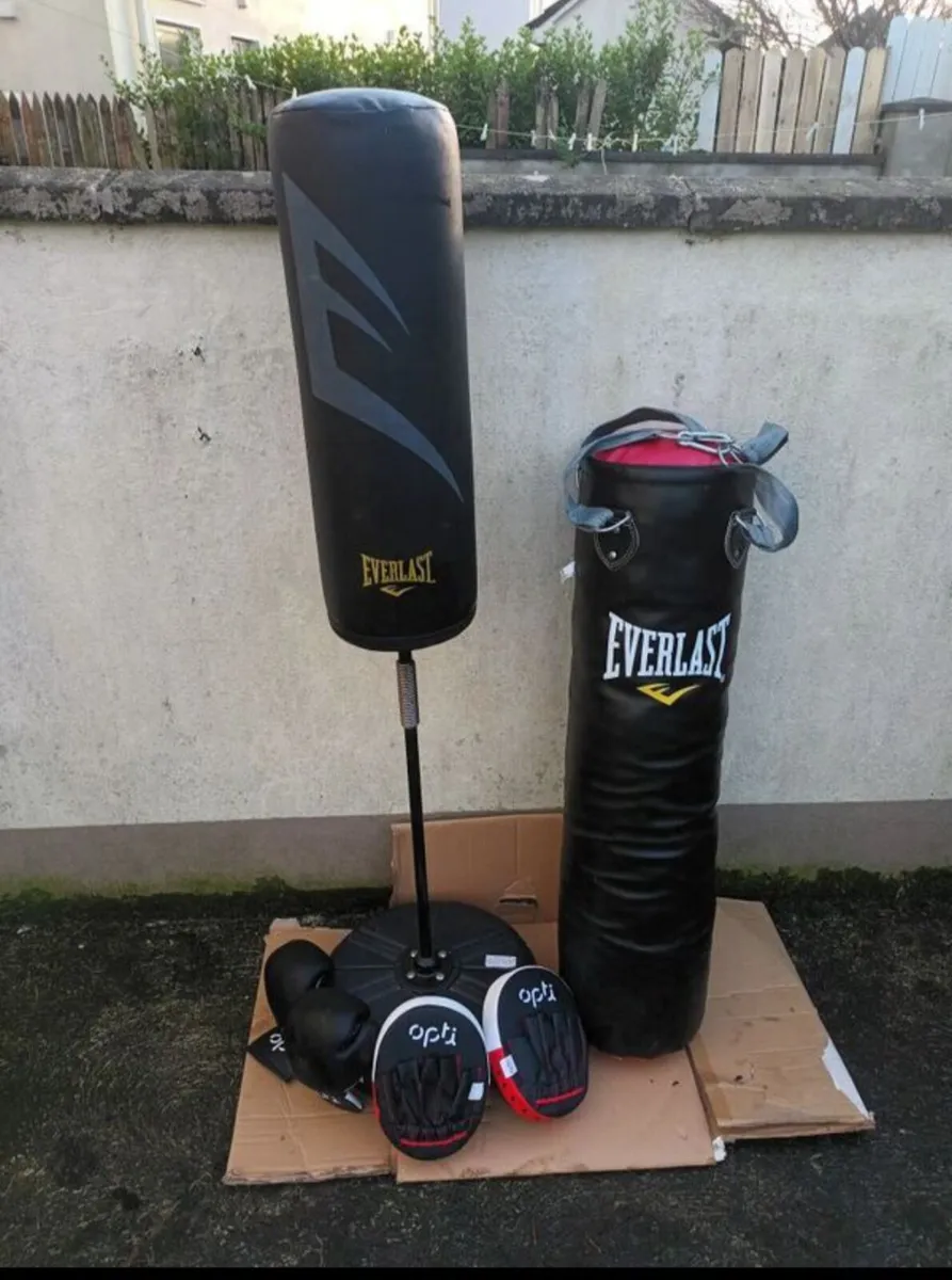 Everlast punch bags X 2 - Image 2