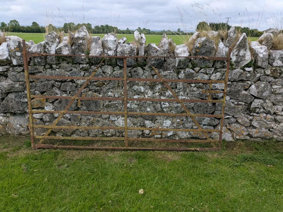 Wrought iron field gate - Image 2