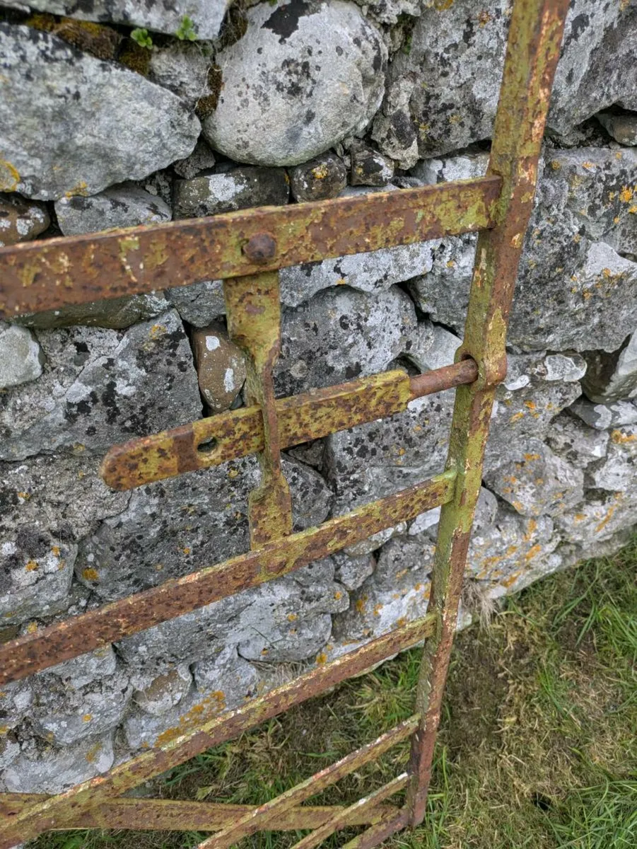 Wrought iron field gate - Image 4