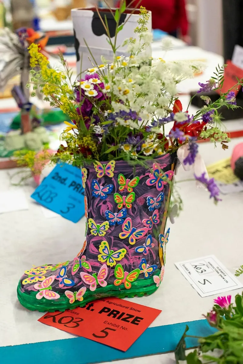 Oldcastle Agricultural Show - Image 1