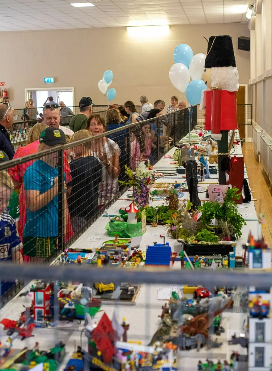 Oldcastle Agricultural Show - Image 2