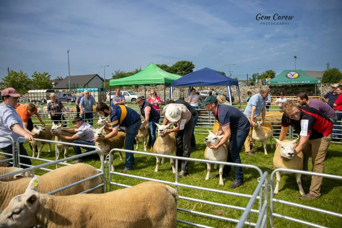Oldcastle Agricultural Show - Image 3