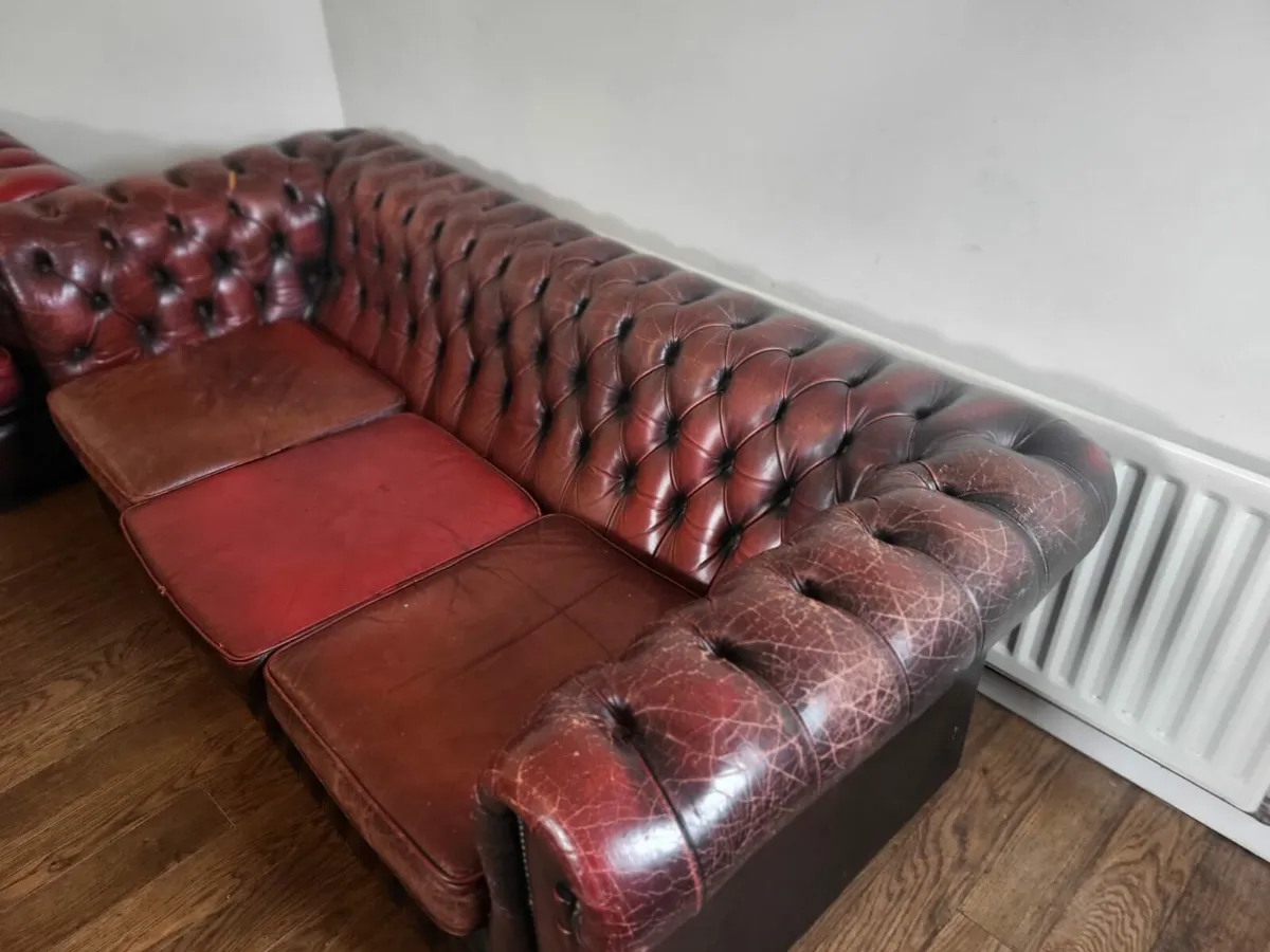 Chesterfield sofa - Image 1