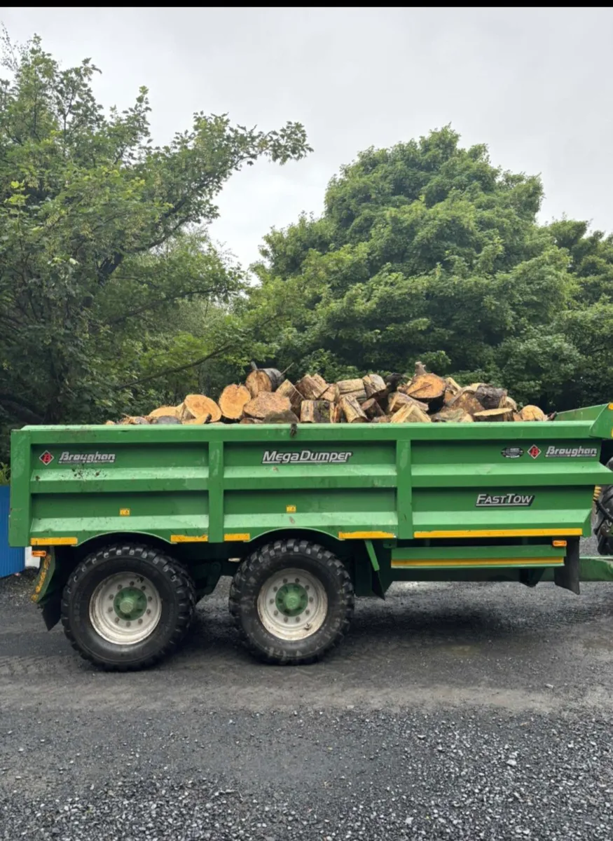 Firewood - Image 2