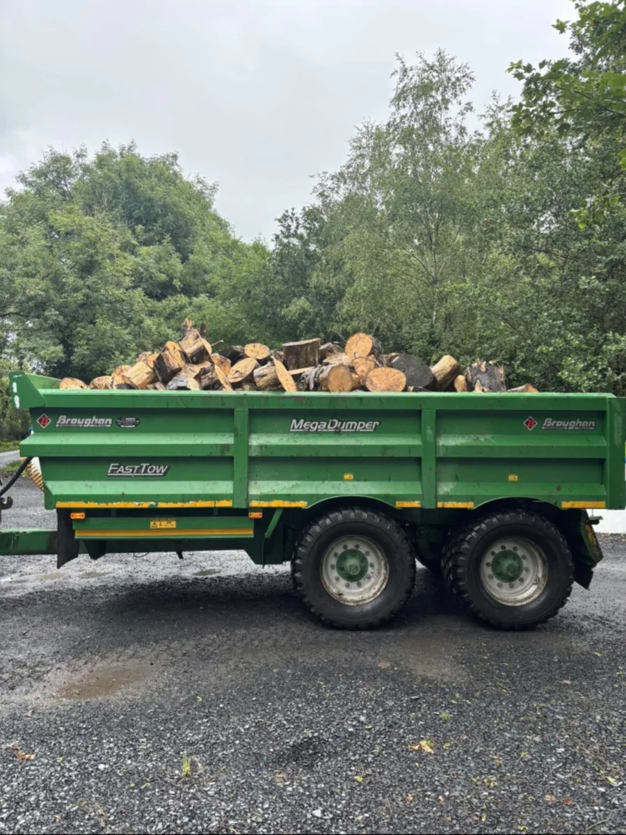 Firewood - Image 1