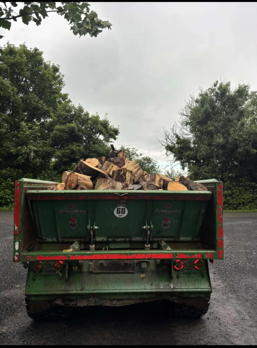 Firewood - Image 3
