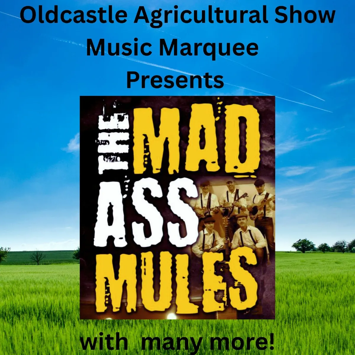 Oldcastle Agricultural Show 2025 - Image 2