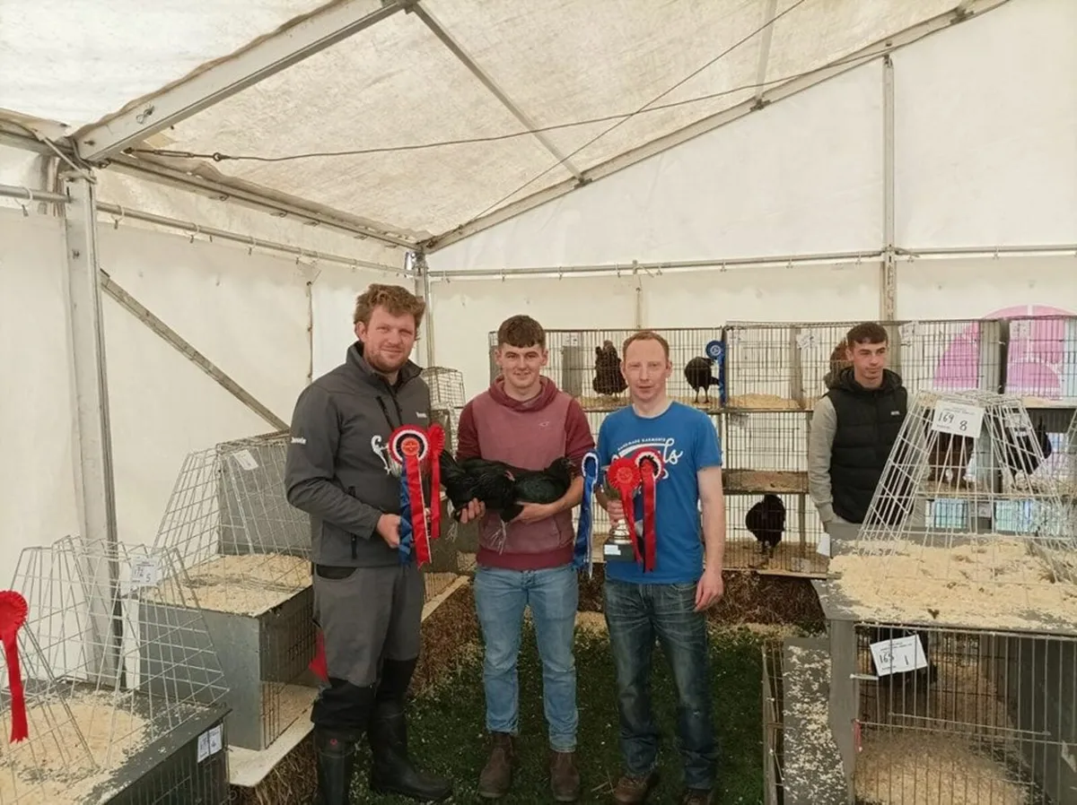 Oldcastle Agricultural Show 2025 - Image 3