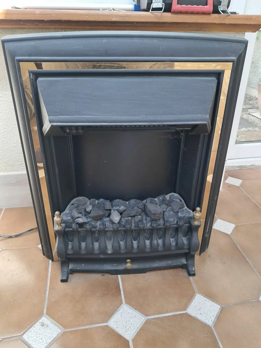 Electric fire