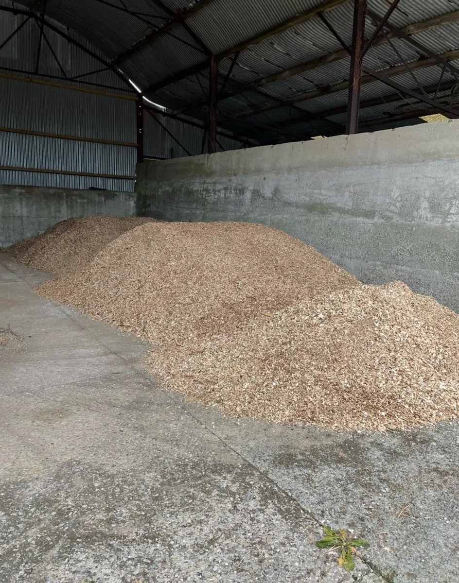 Wood chip - Image 1
