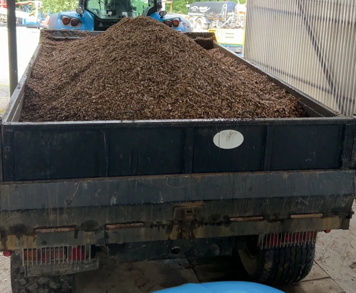 Wood chip - Image 2