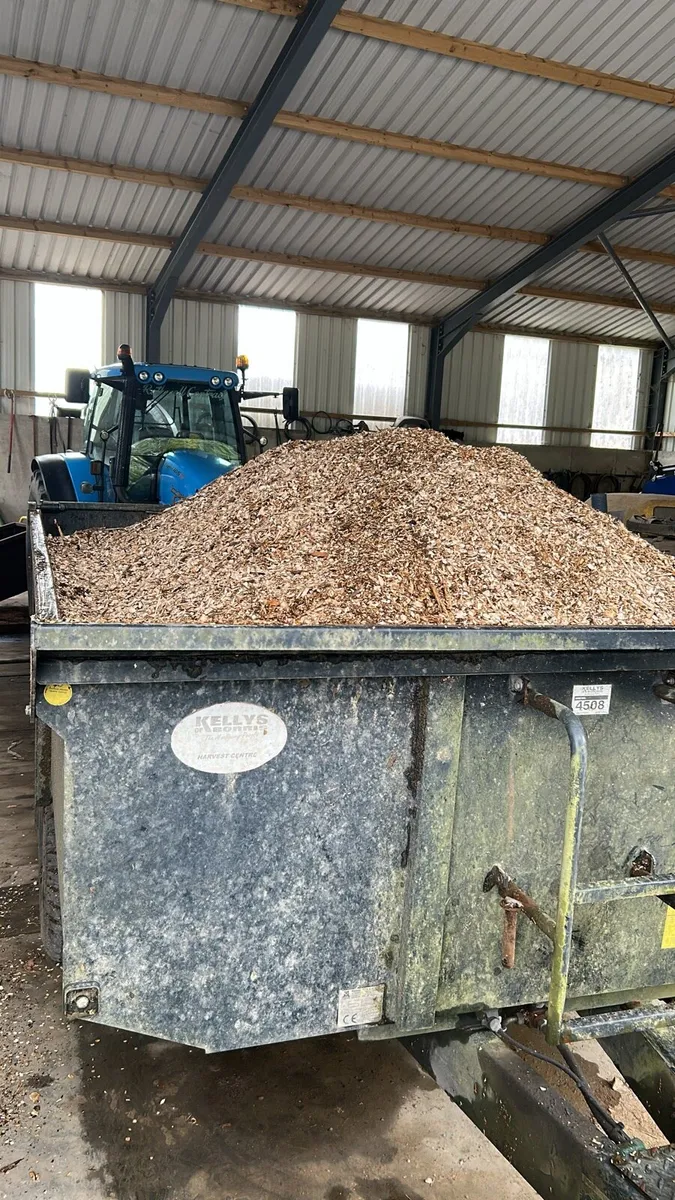 Wood chip - Image 3
