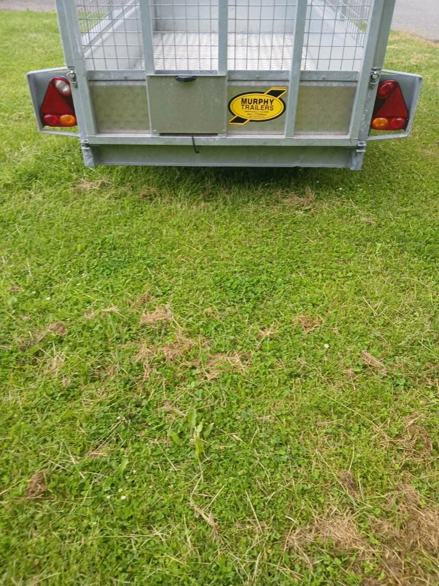 Murphys trailer 8ft 2 by 4ft 2 - Image 4