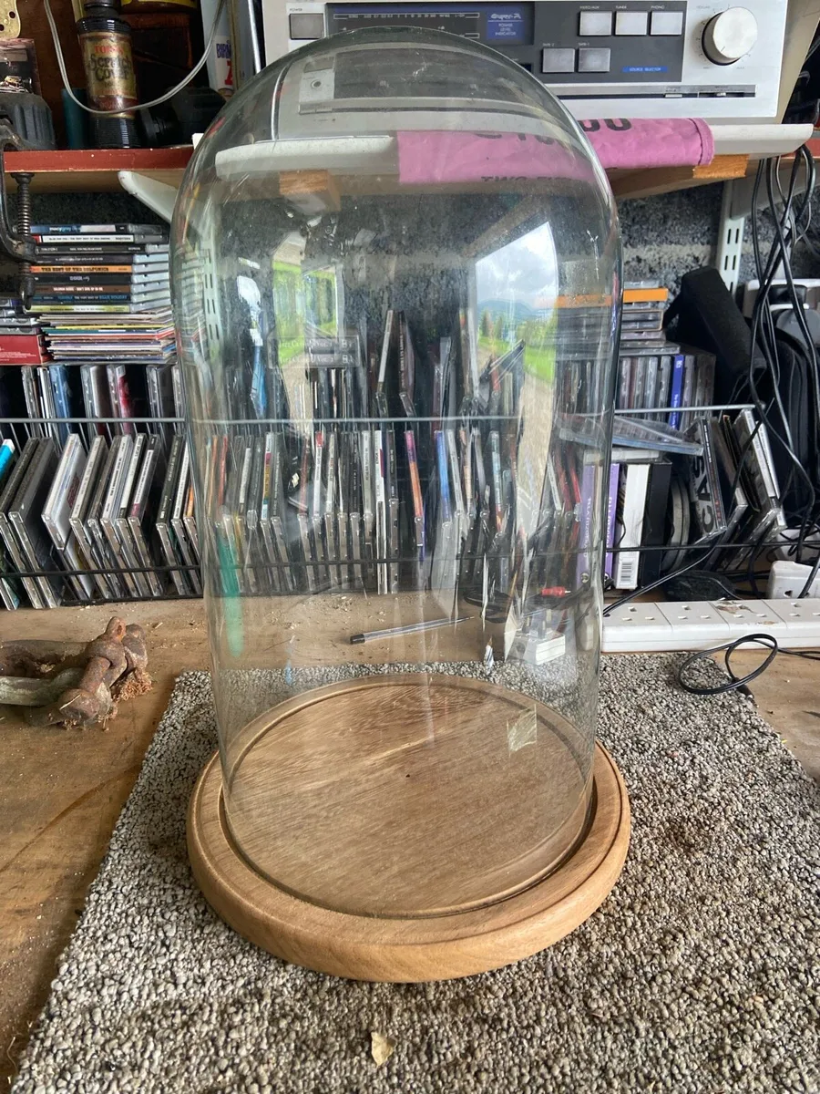 Glass dome display case