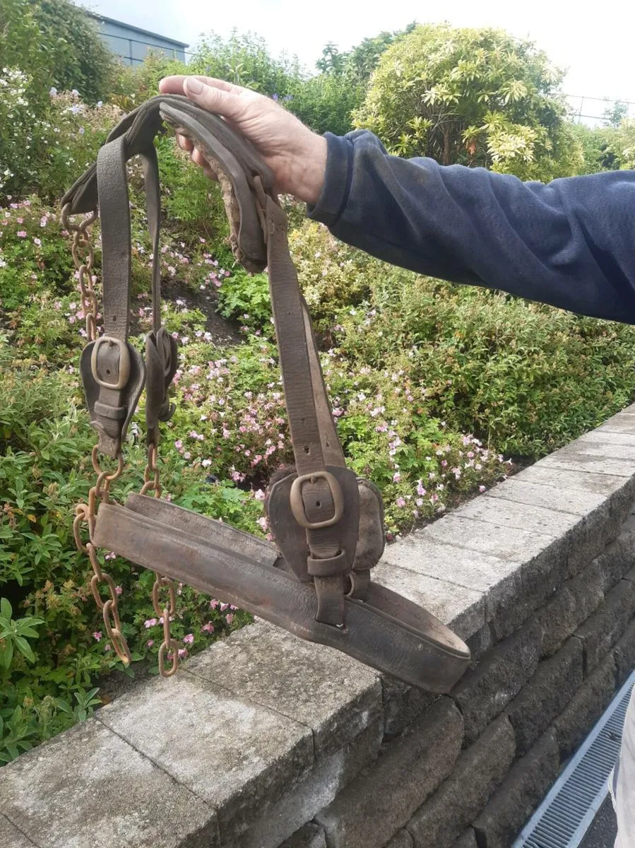 Donkey collar, straddle  britchen plus baskets - Image 3