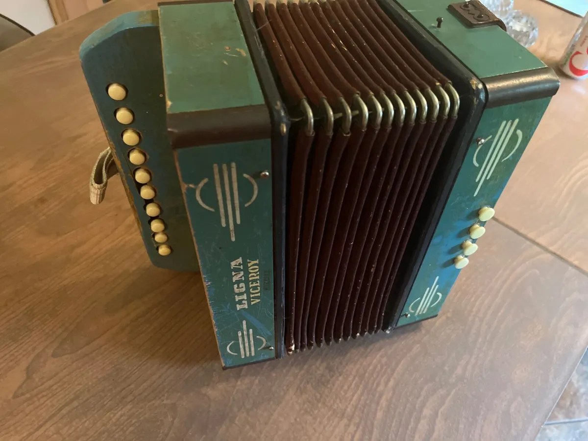 Button accordion - Image 3