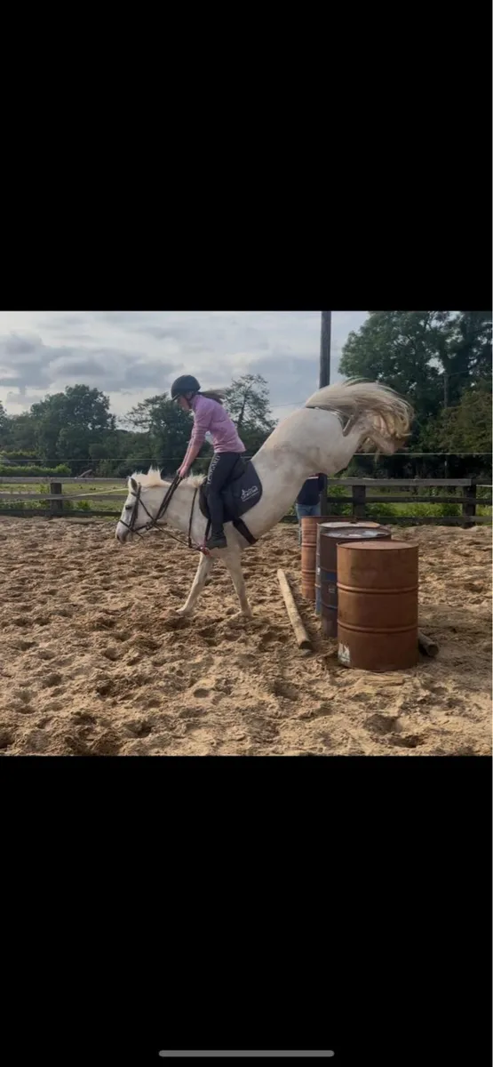 all rounder ⭐️ - Image 2