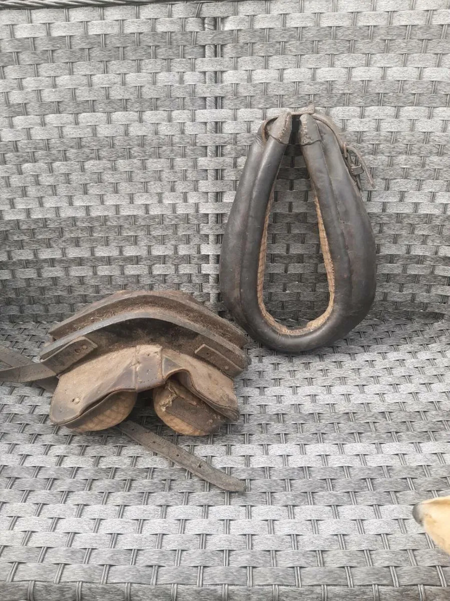Donkey collar, straddle  britchen plus baskets - Image 1