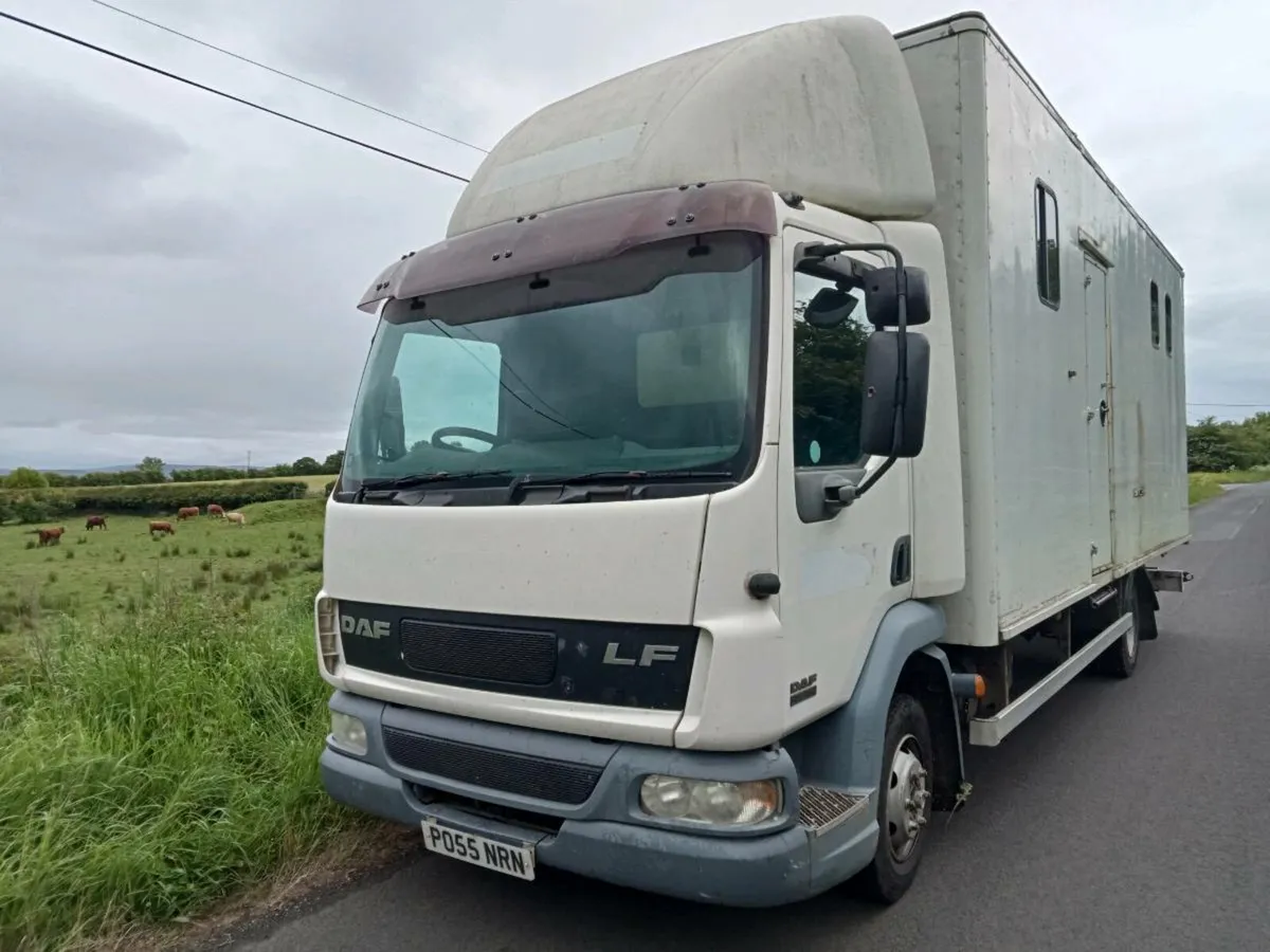 Daf LF 45 box body horsebox truck - Image 2