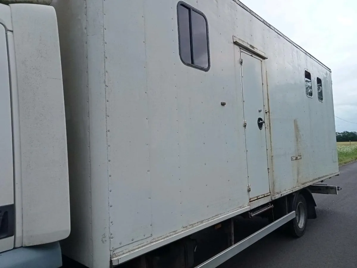 Daf LF 45 box body horsebox truck - Image 3