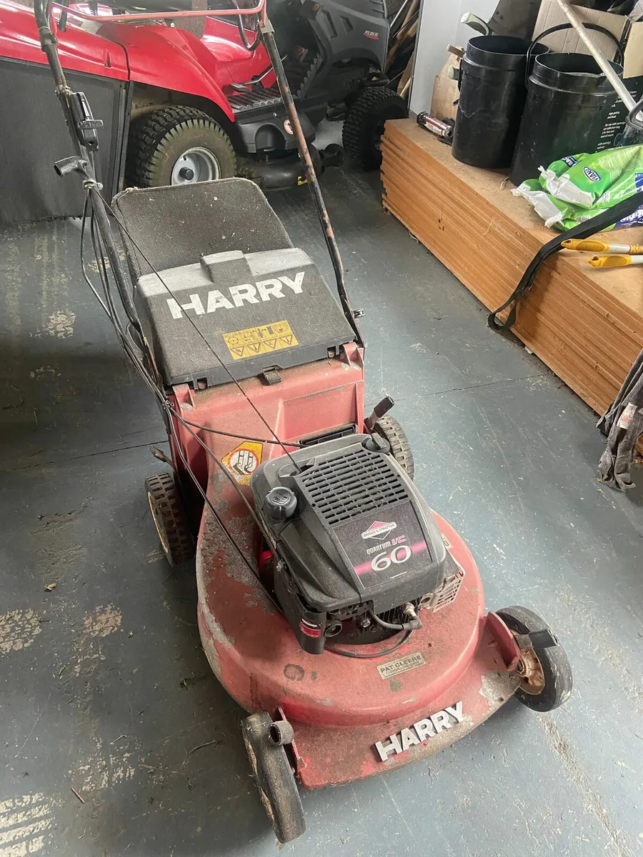 Harry  lawnmower - Image 1