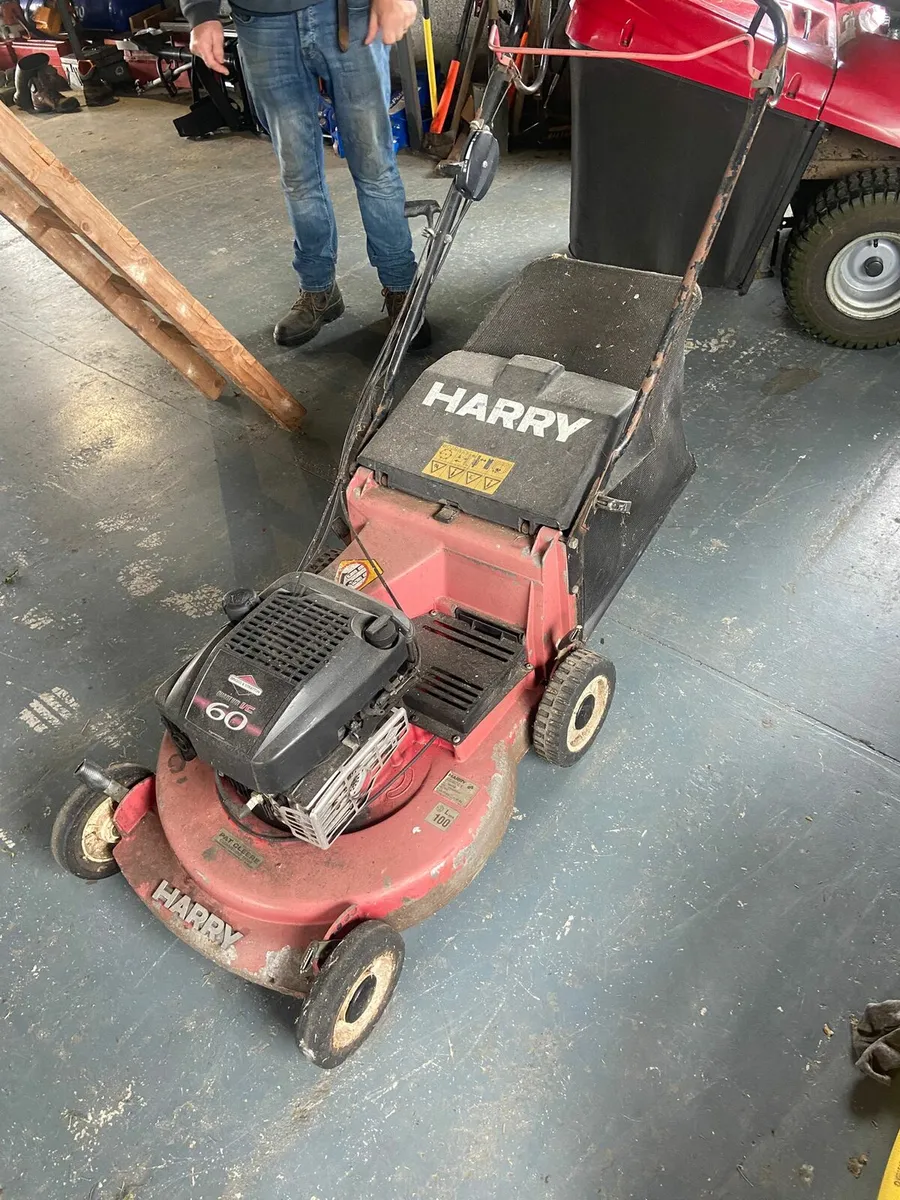 Harry  lawnmower - Image 2