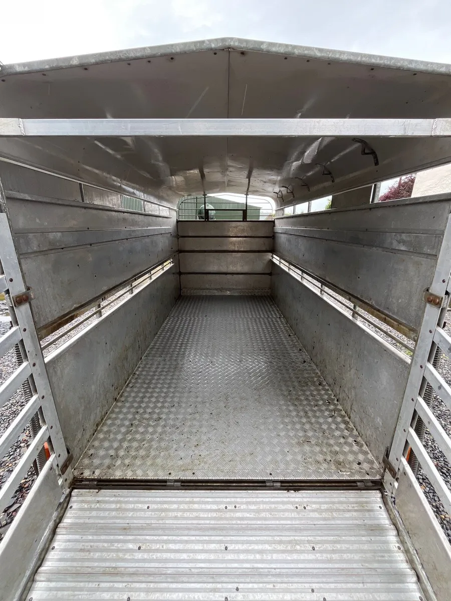 Hudson Cattle trailer - Image 4