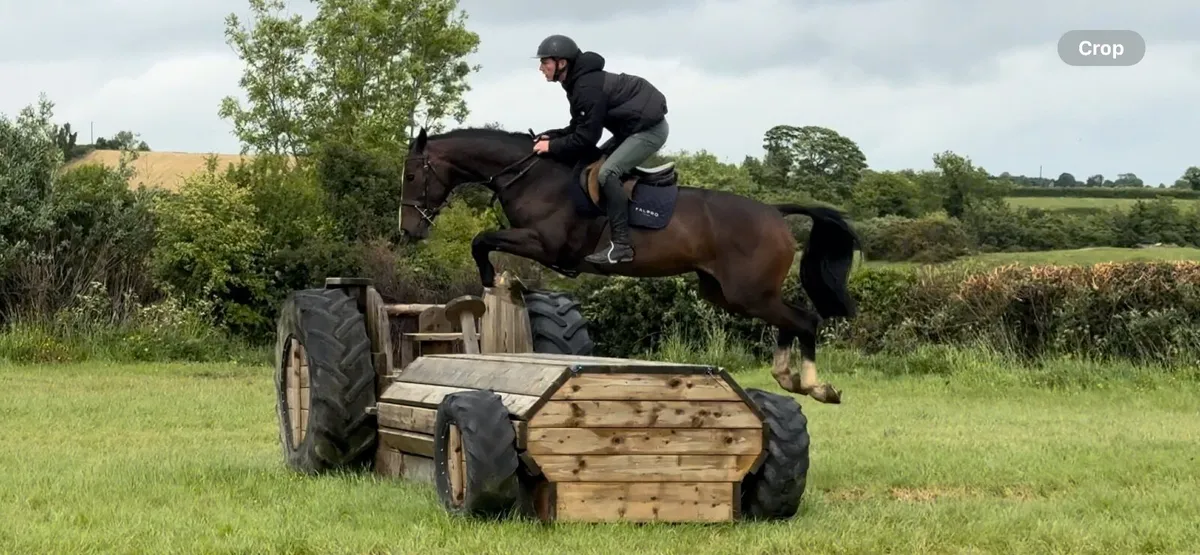 16,1 All Rounder - Image 2
