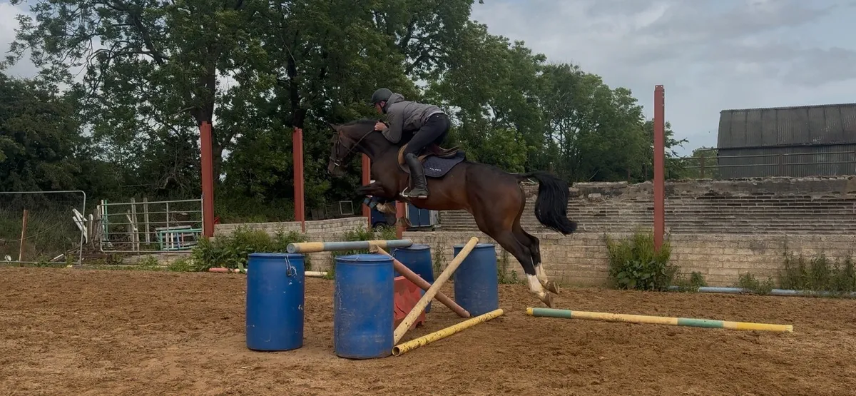 16,1 All Rounder - Image 3