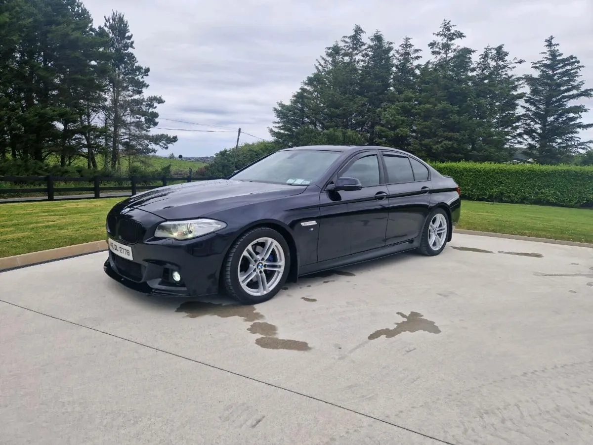 BMW 520 MSPORT - Image 2