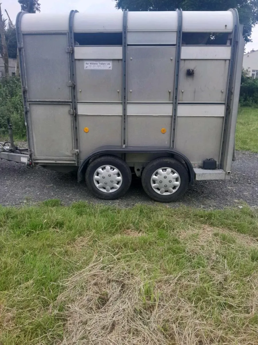 For sale  two  cow car trailer - Image 1