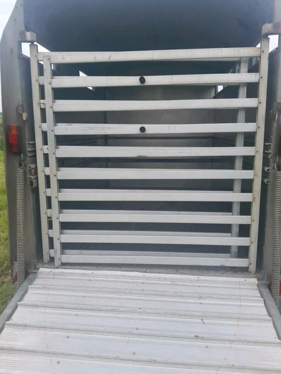 For sale  two  cow car trailer - Image 3