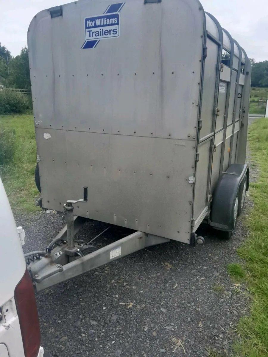 For sale  two  cow car trailer - Image 4