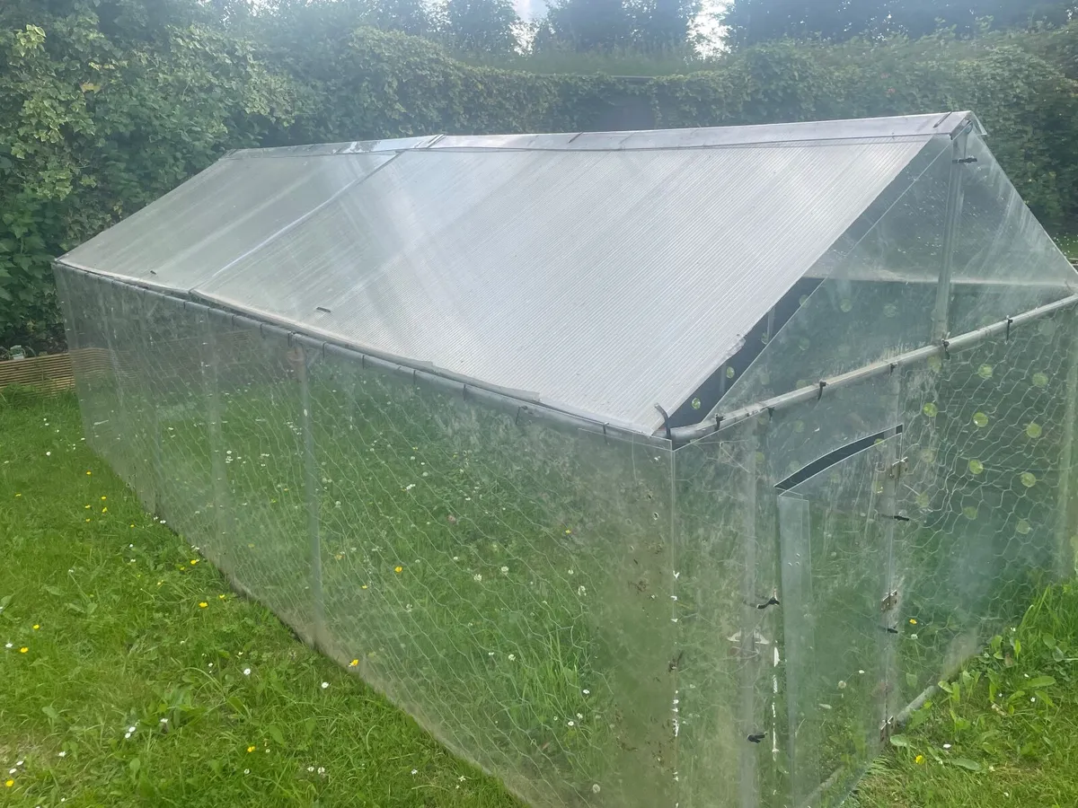 Dog kennel - Image 2