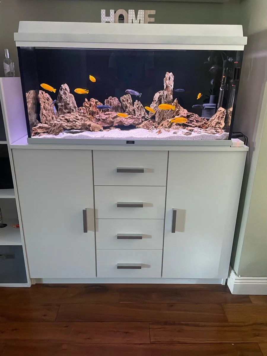 Malawi Fish tank - Image 1