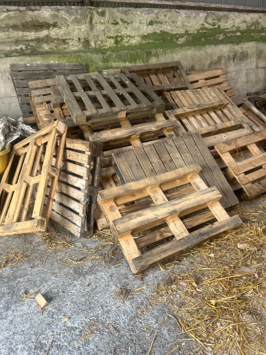 Selection of pallets - Image 1