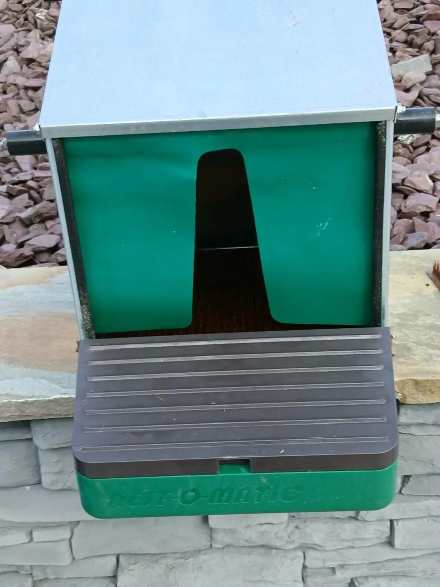 Hen Nesting box - Image 2