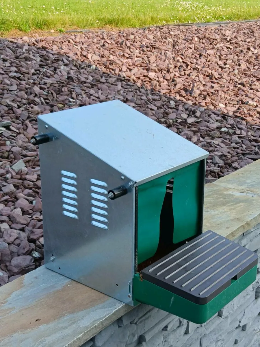 Hen Nesting box - Image 4