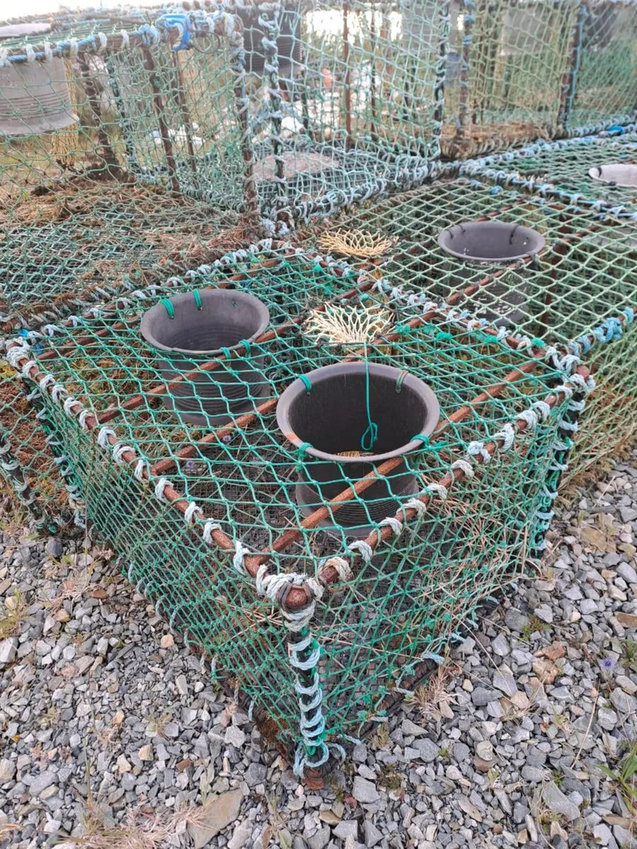 Crayfish Pots - Image 2