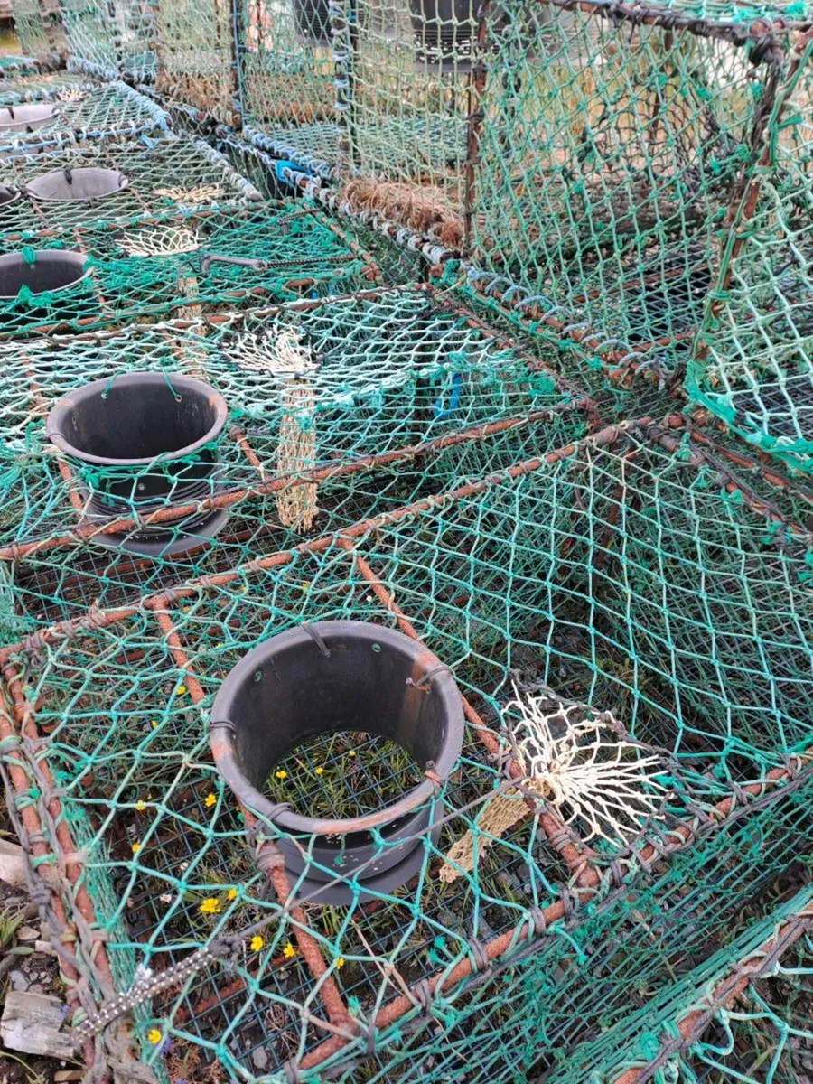 Crayfish Pots - Image 3