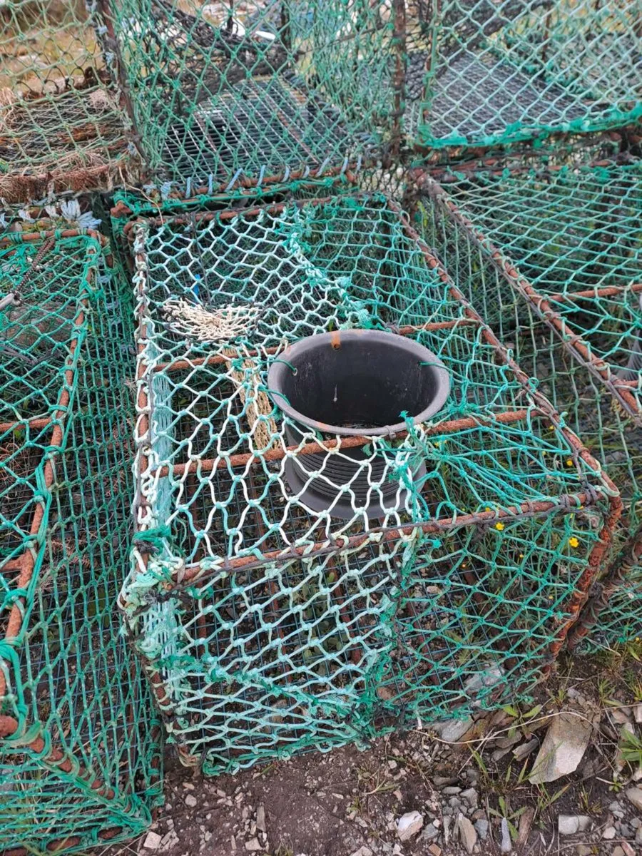 Crayfish Pots - Image 4
