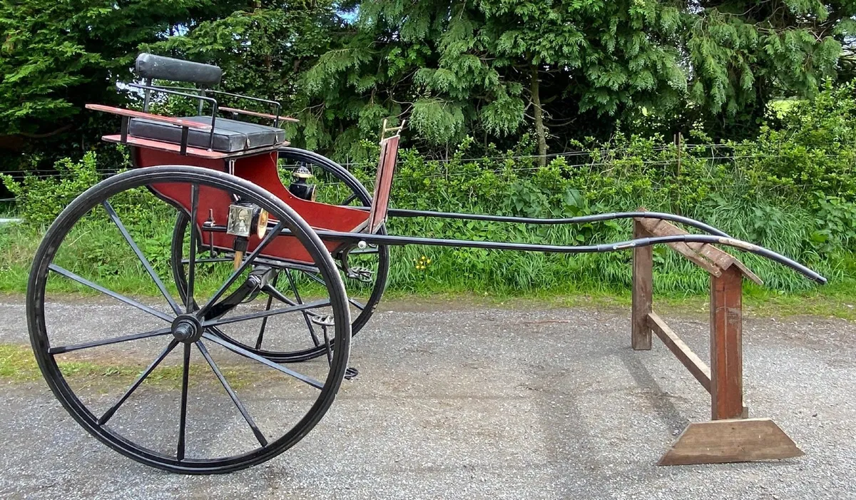 Horse drawn carriage - Image 3