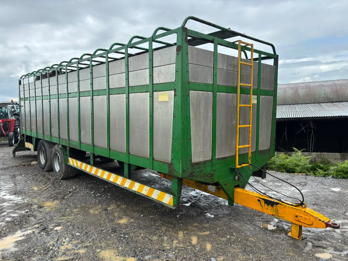 Special Dispersal Auction @ Portlaoise - Image 4