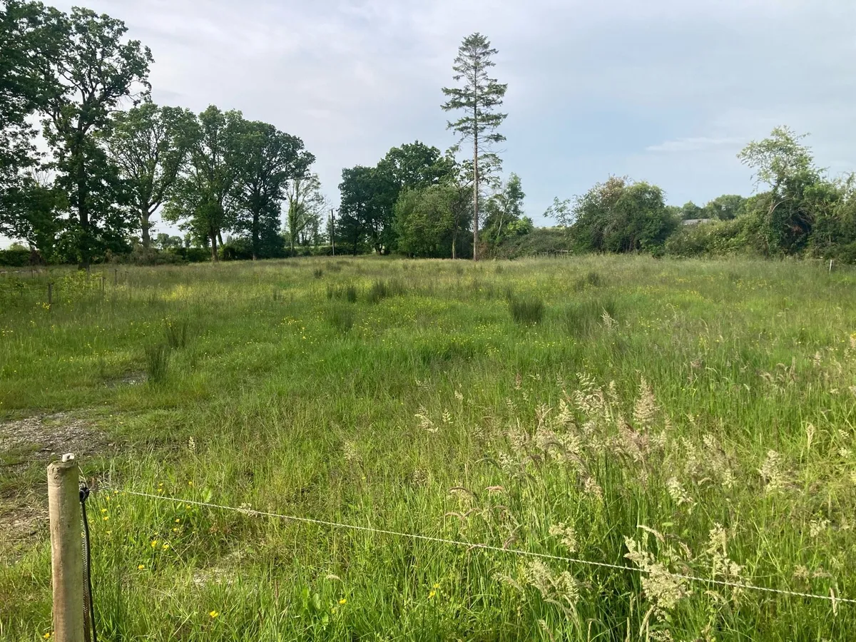 land for lease - Image 1