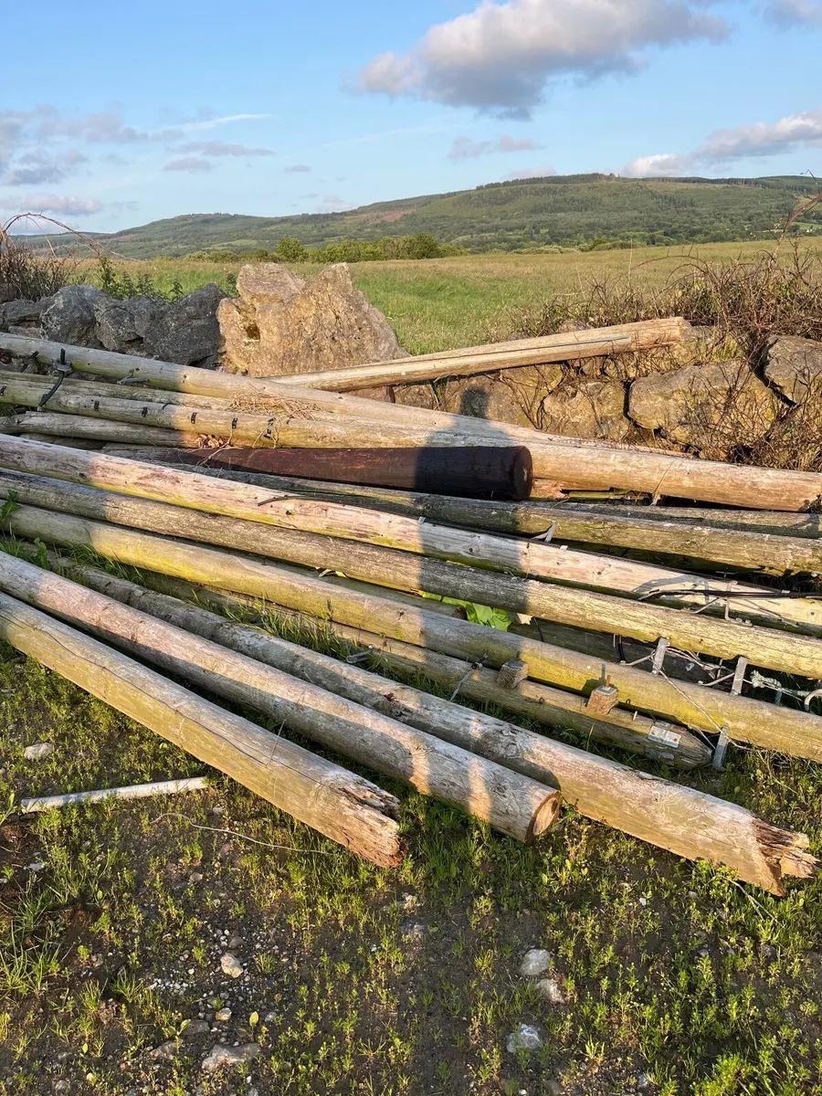Telecom Poles - Image 2