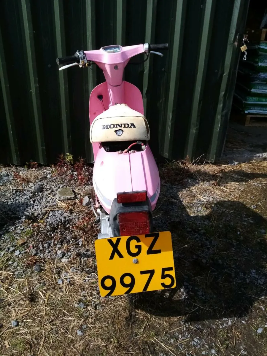 MINI HONDA VISION 50!!! - Image 4