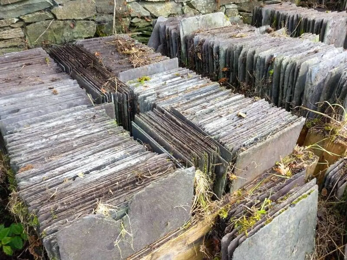 Blue Bangor slates - Image 1