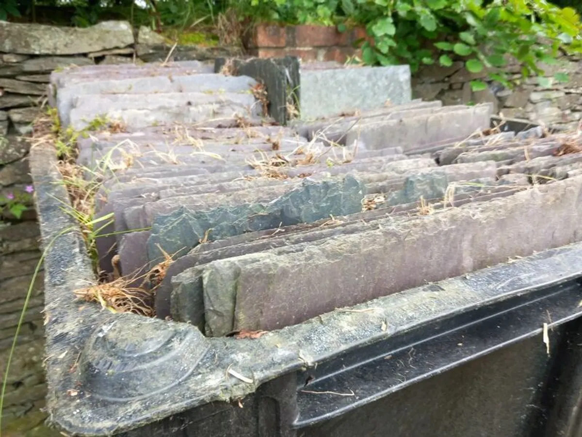 Blue Bangor slates - Image 2